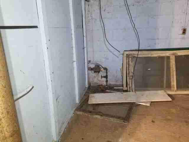 Testing again(37).jpg